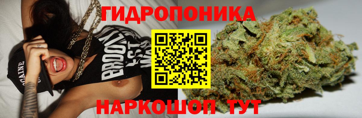 Конопля марихуана Ессентуки